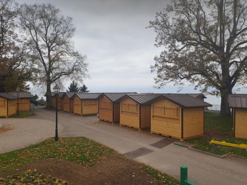 Resized 20211109 122648